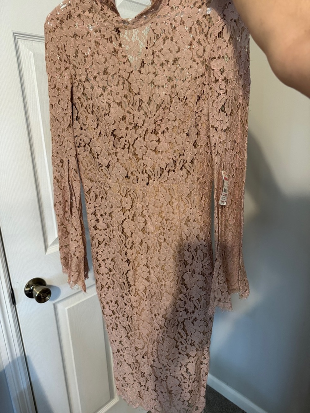 Bardot Dusty Pink Lace Long-Sleeve Sheath Dress